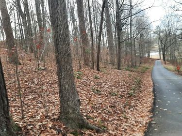 Lot 8 Harbor Drive, Unit Lot 8, Eddyville, KY 42038