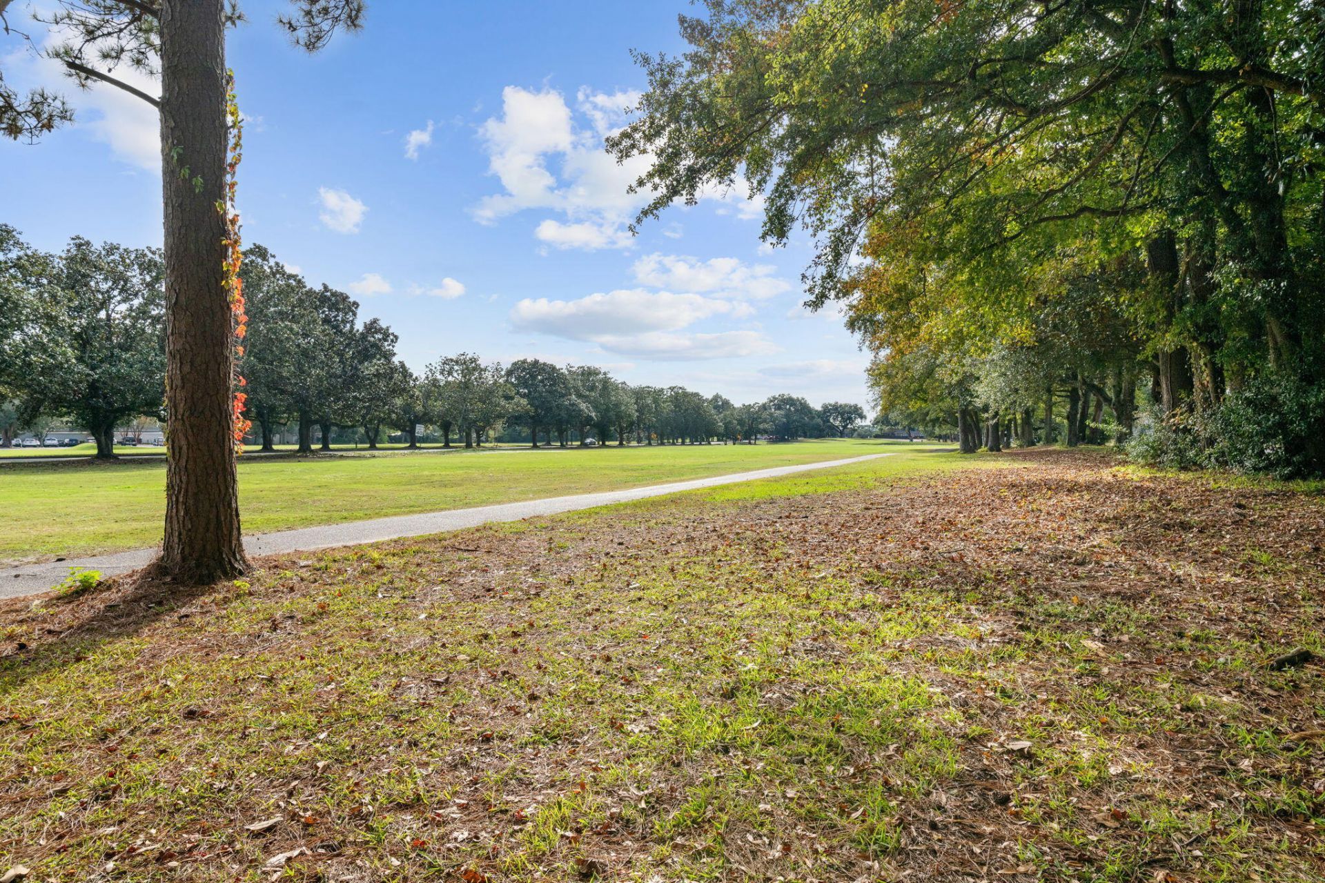 2126 Golfview Drive Photo 3