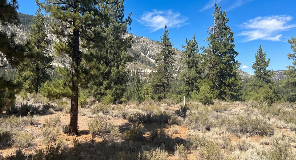 130 Chamberlain Court, Lot #189, Carson City, NV 89705 Photo