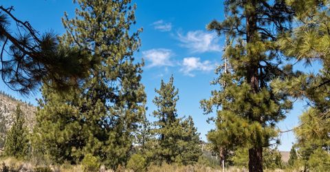 130 Chamberlain Court, Lot #189, Carson City, NV 89705 Photo