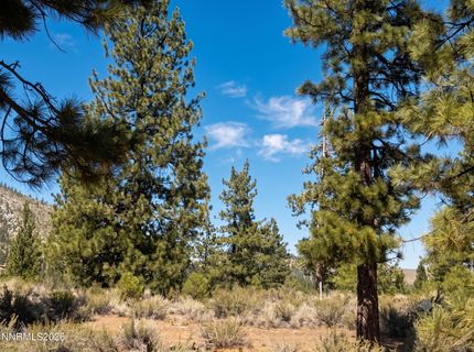 130 Chamberlain Court, Lot #189, Carson City, NV 89705 Photo