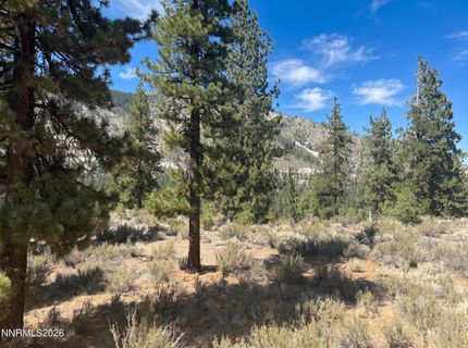 130 Chamberlain Court, Lot #189, Carson City, NV 89705 Photo