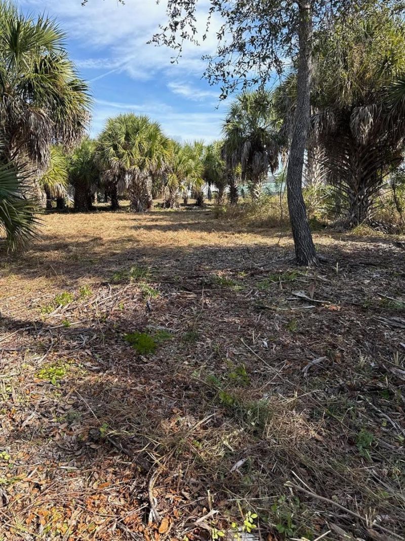 25360 Fortran Drive, Punta Gorda, FL 33950 Photo