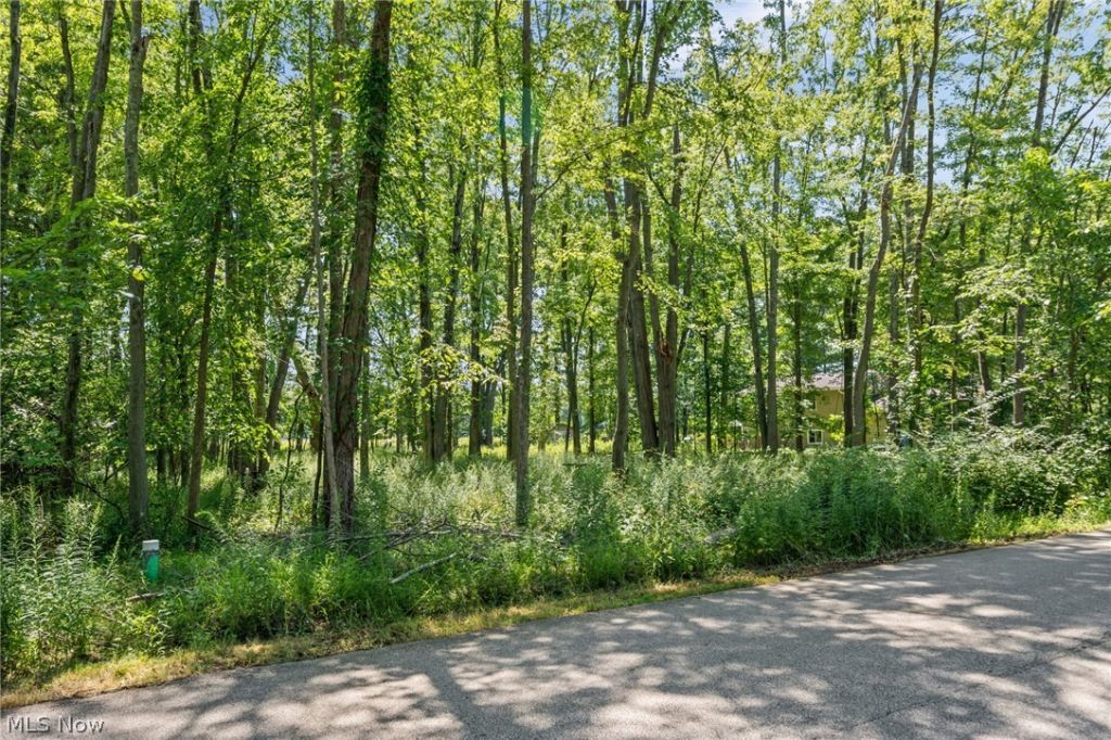 Cranage Road, Olmsted Falls, OH 44138 Main Photo