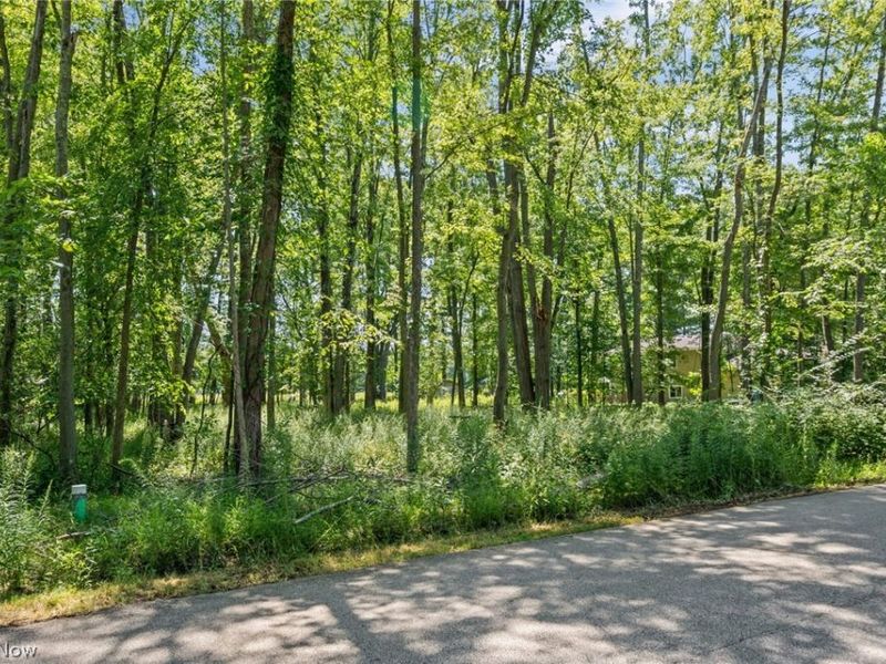 Cranage Road, Olmsted Falls, OH 44138 Photo 1