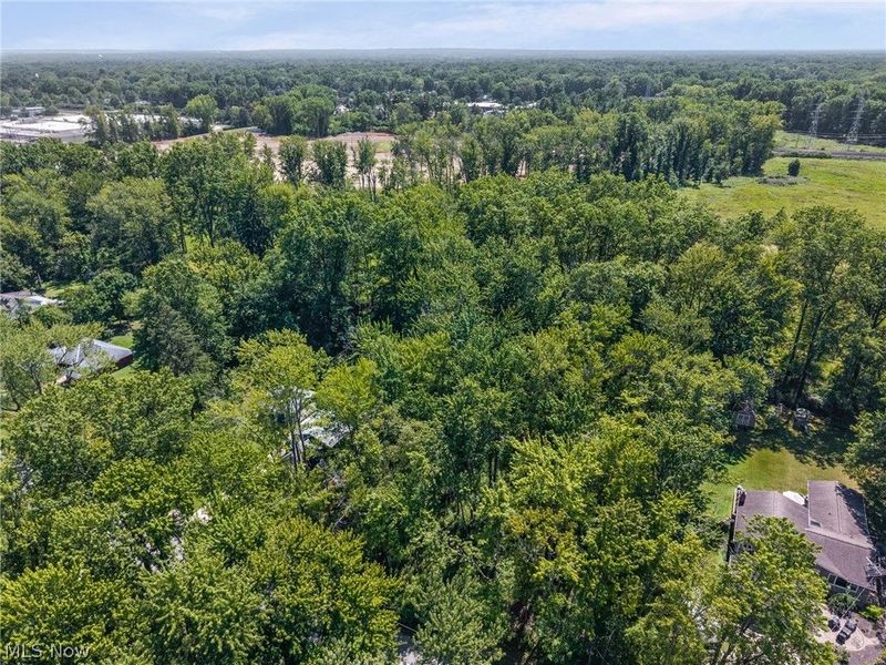 Cranage Road, Olmsted Falls, OH 44138 Photo 10