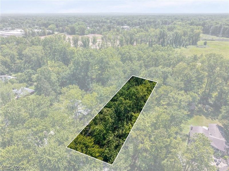 Cranage Road, Olmsted Falls, OH 44138 Photo 15