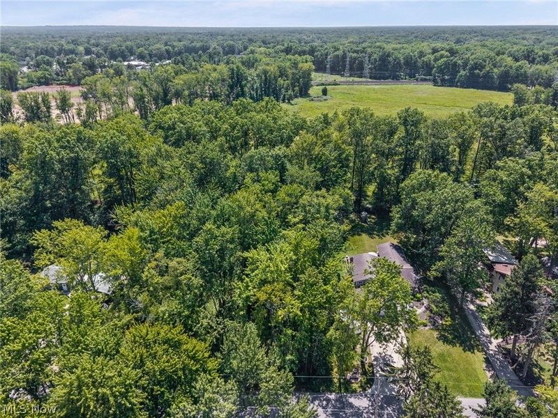 Cranage Road, Olmsted Falls, OH 44138 Photo 6