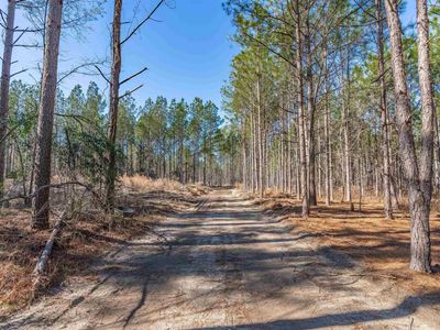 Lot #6 Fairview Road, Unit Lot #6, Batesburg, SC 29006