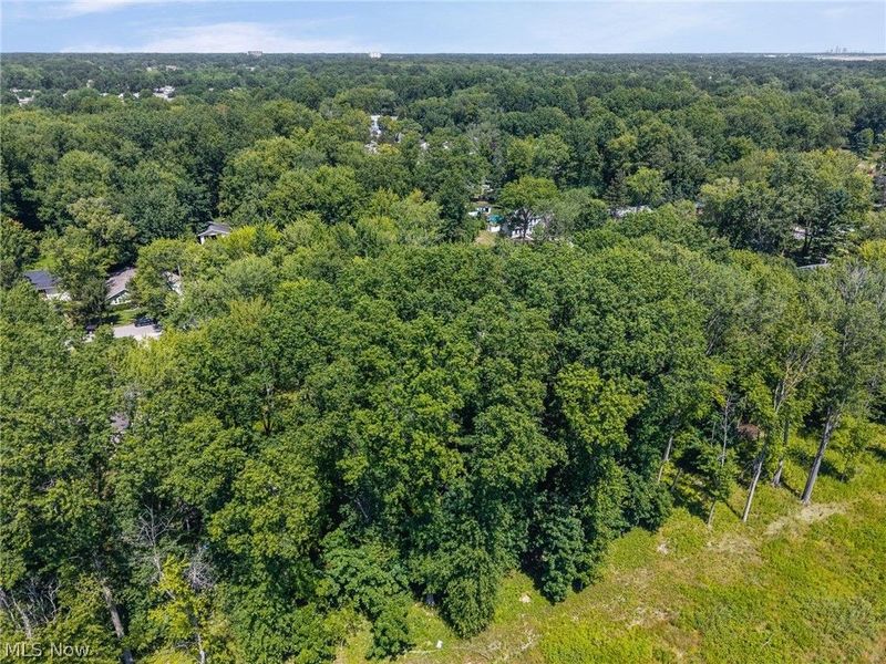 Cranage Road, Olmsted Falls, OH 44138 Photo 11