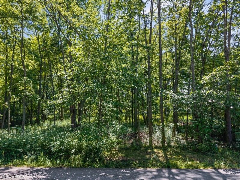 Cranage Road, Olmsted Falls, OH 44138 Photo 12