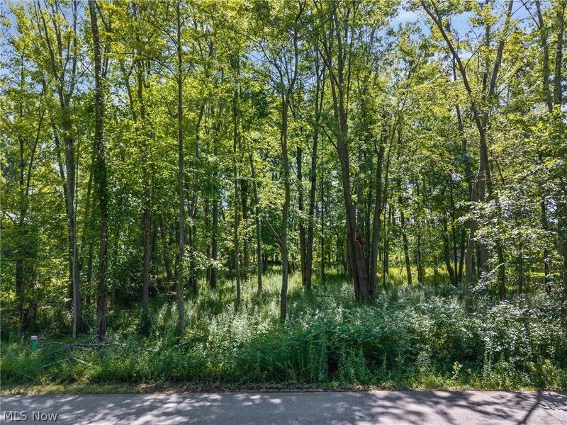 Cranage Road, Olmsted Falls, OH 44138 Photo 13