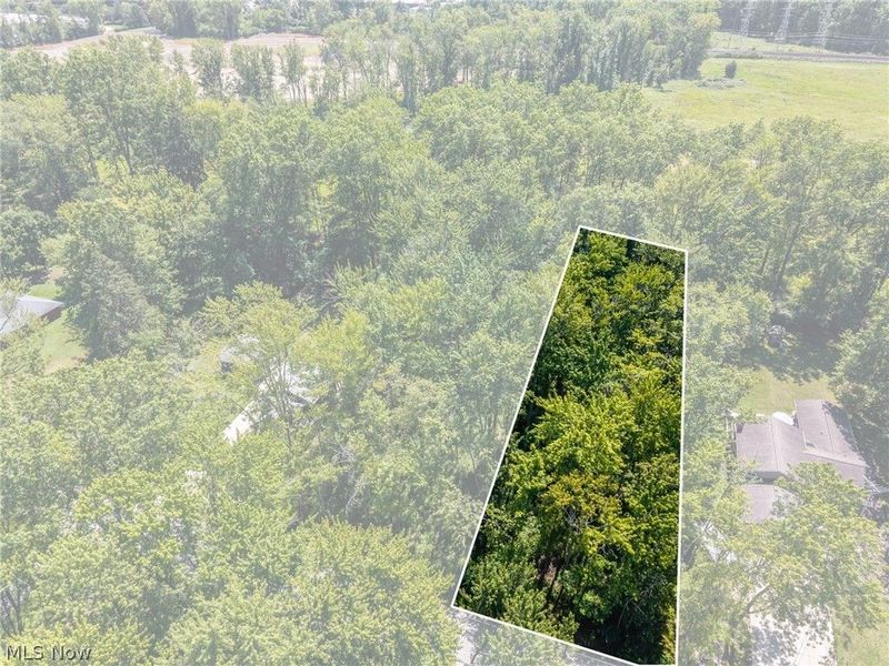 Cranage Road, Olmsted Falls, OH 44138 Photo 15