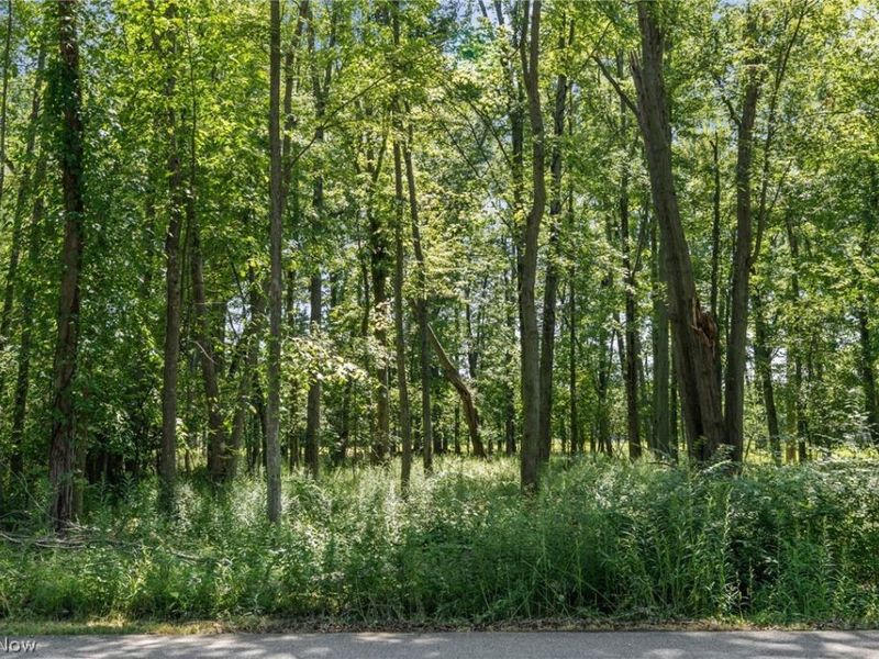 Cranage Road, Olmsted Falls, OH 44138 Photo 2