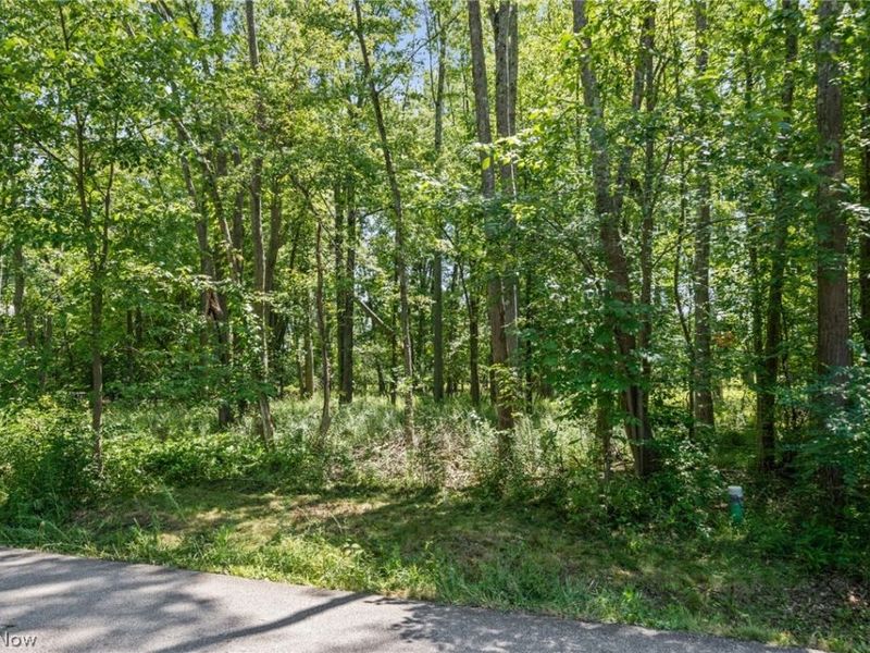 Cranage Road, Olmsted Falls, OH 44138 Photo 3