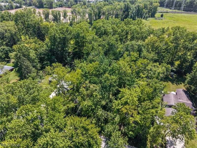 Cranage Road, Olmsted Falls, OH 44138 Photo 9