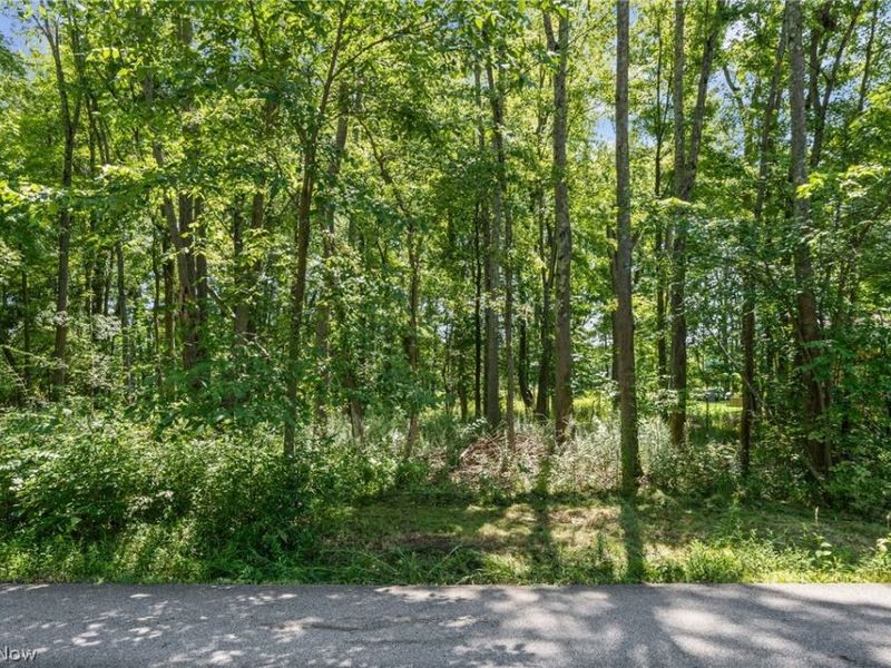 Cranage Road, Olmsted Falls, OH 44138 Photo 6