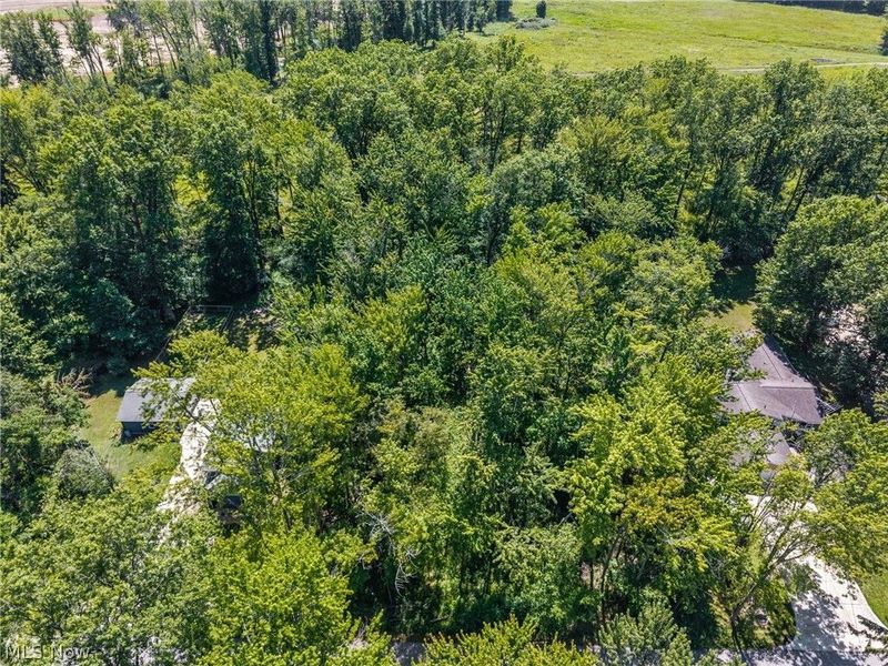 Cranage Road, Olmsted Falls, OH 44138 Photo 9
