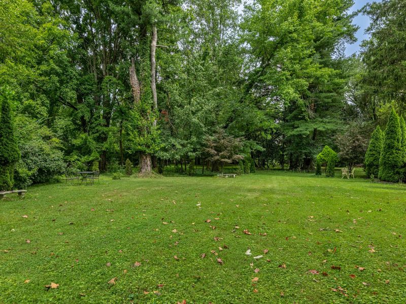 445 W South College Street, Yellow Springs, OH 45387 Photo 74