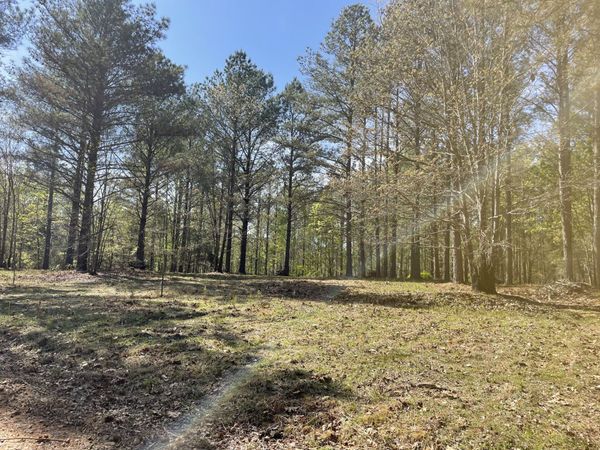 1001 Bj Rd , Centerville, TN 37033