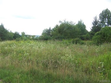 0 Colony Run, Alexander, NY 14005