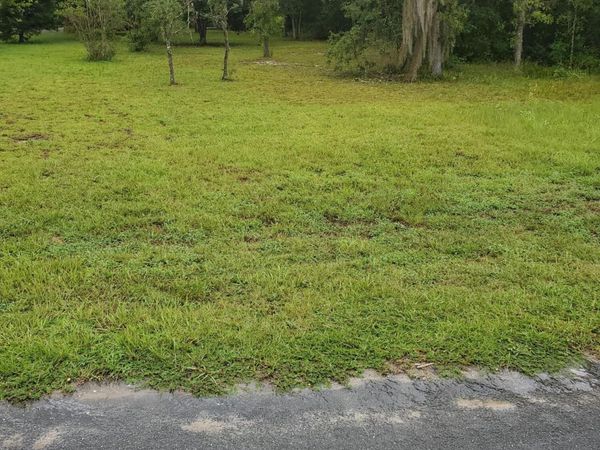 TBD ISTANBUL Street, Interlachen, FL 32148