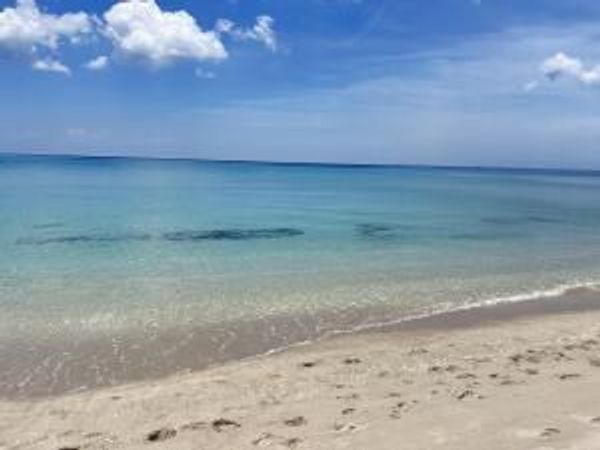 3500 S OCEAN Boulevard, Unit 211, South Palm Beach, FL 33480