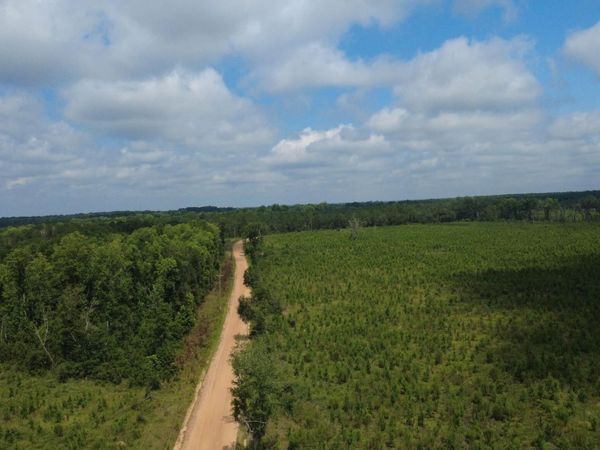 0 SIMS BROTHERS RD, Claxton, GA 30417
