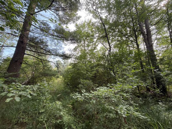 US-31, Manistee, MI 49660
