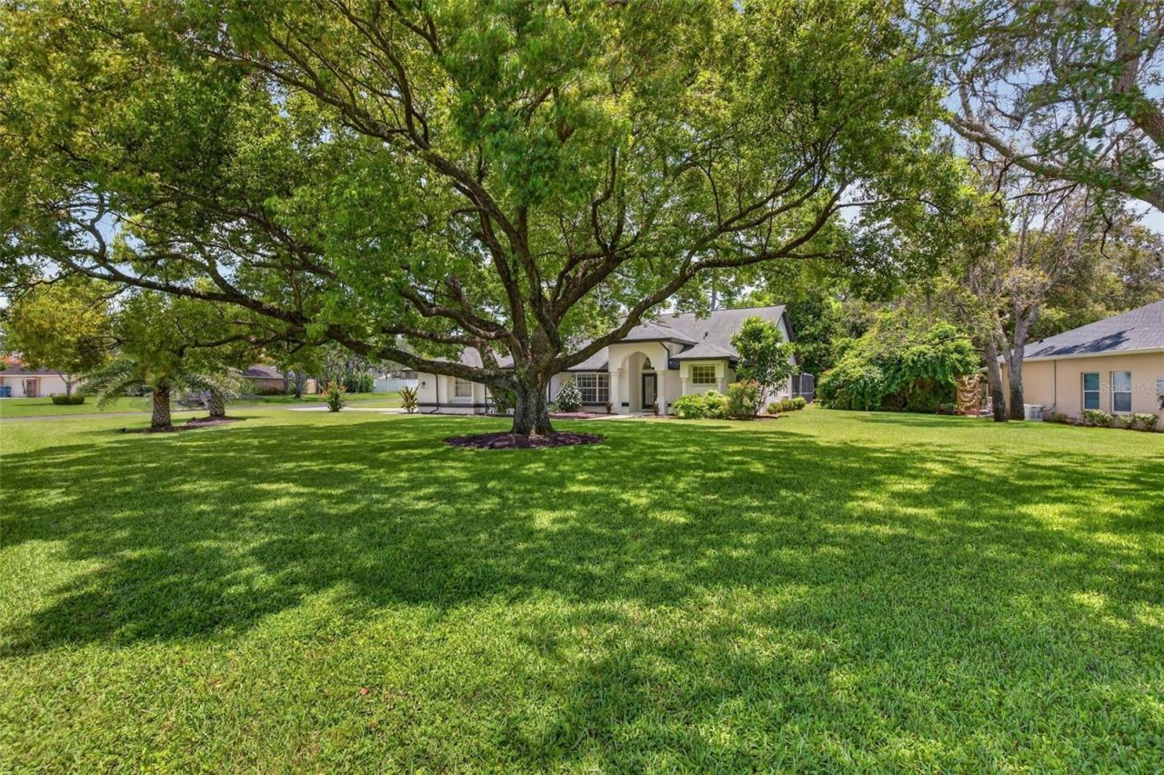 4334 Dottie Court, Spring Hill, FL 34607 Photo