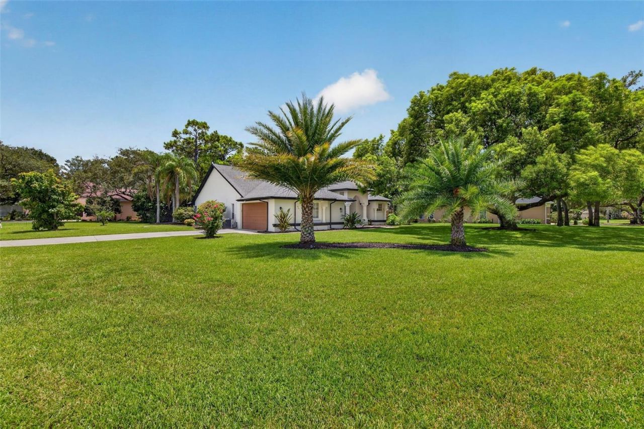 4334 Dottie Court, Spring Hill, FL 34607 Photo