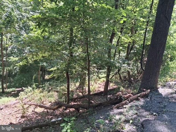 ROME BEAUTY DRIVE, LINDEN, VA 22642