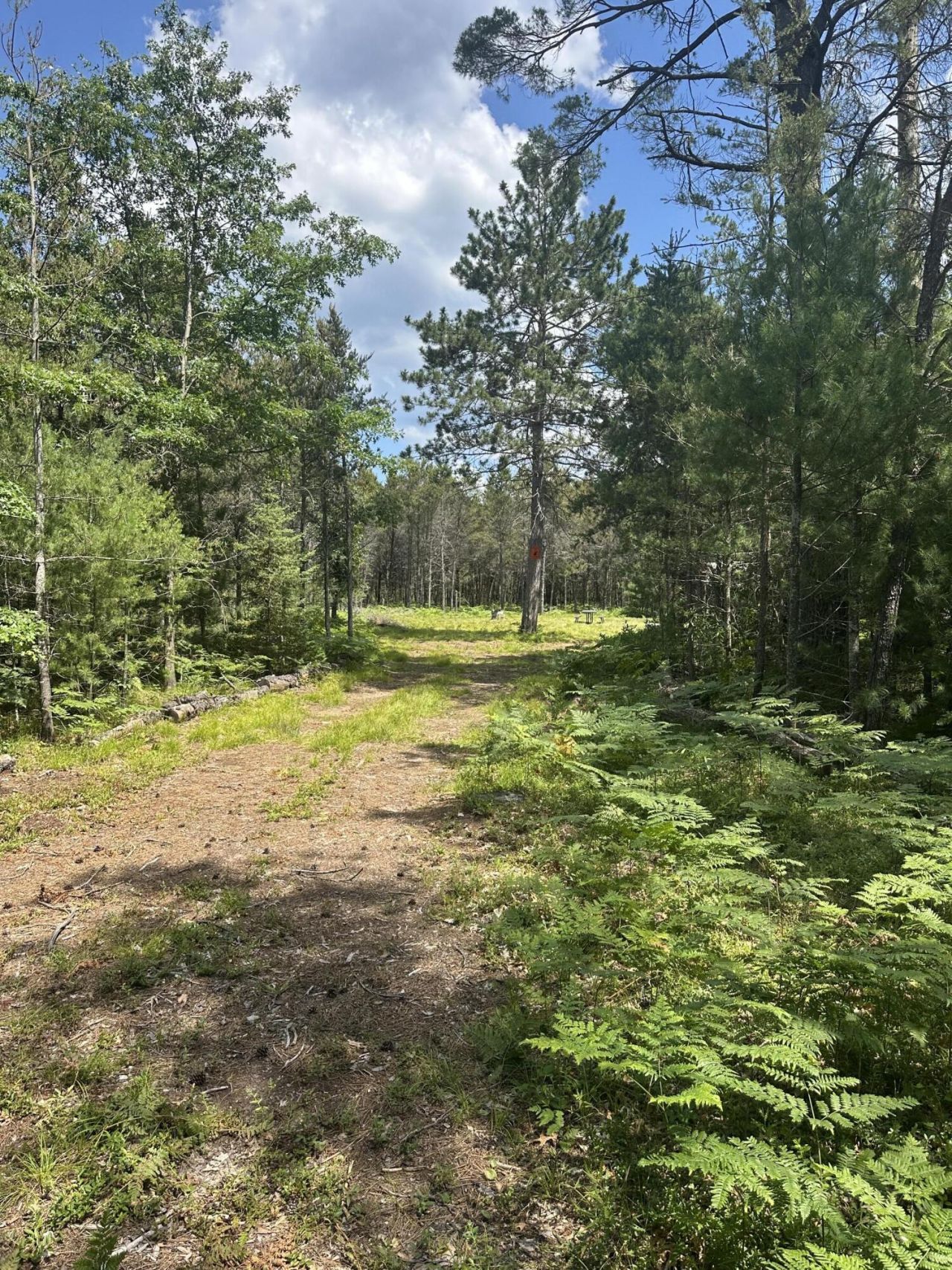 V/l 4.2ac N Spite Avenue, Grayling, MI 49738 Main Photo