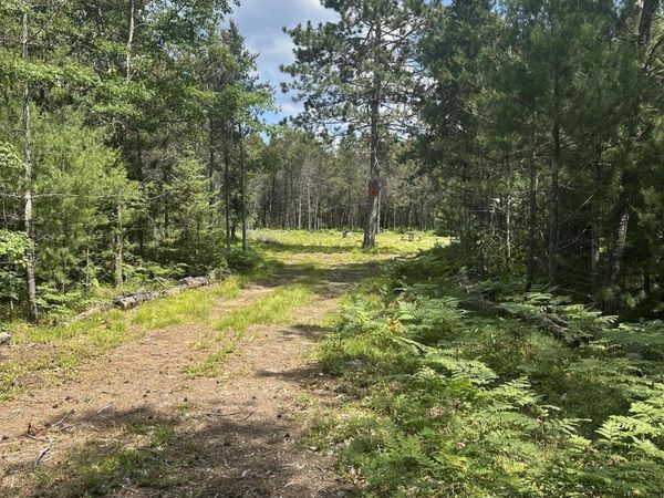 V/L 4.2AC N Spite Avenue, Grayling, MI 49738