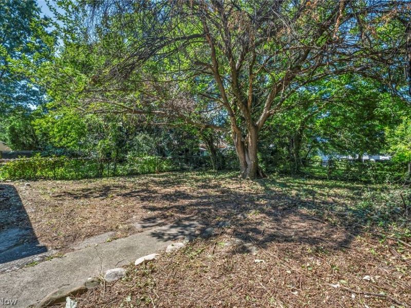 15517 Kipling Avenue, Cleveland, OH 44110 Photo 48
