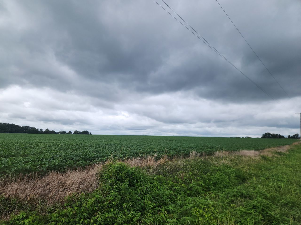 0000 Lost Prairie Road, Coulterville, IL 62237 Main Photo
