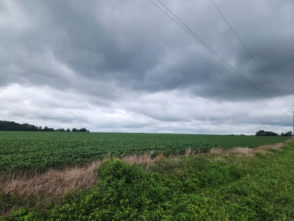 0000 Lost Prairie Road, Coulterville, IL 62237