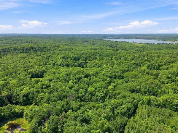 TBD Chippewa Trail, Luck, WI 54853