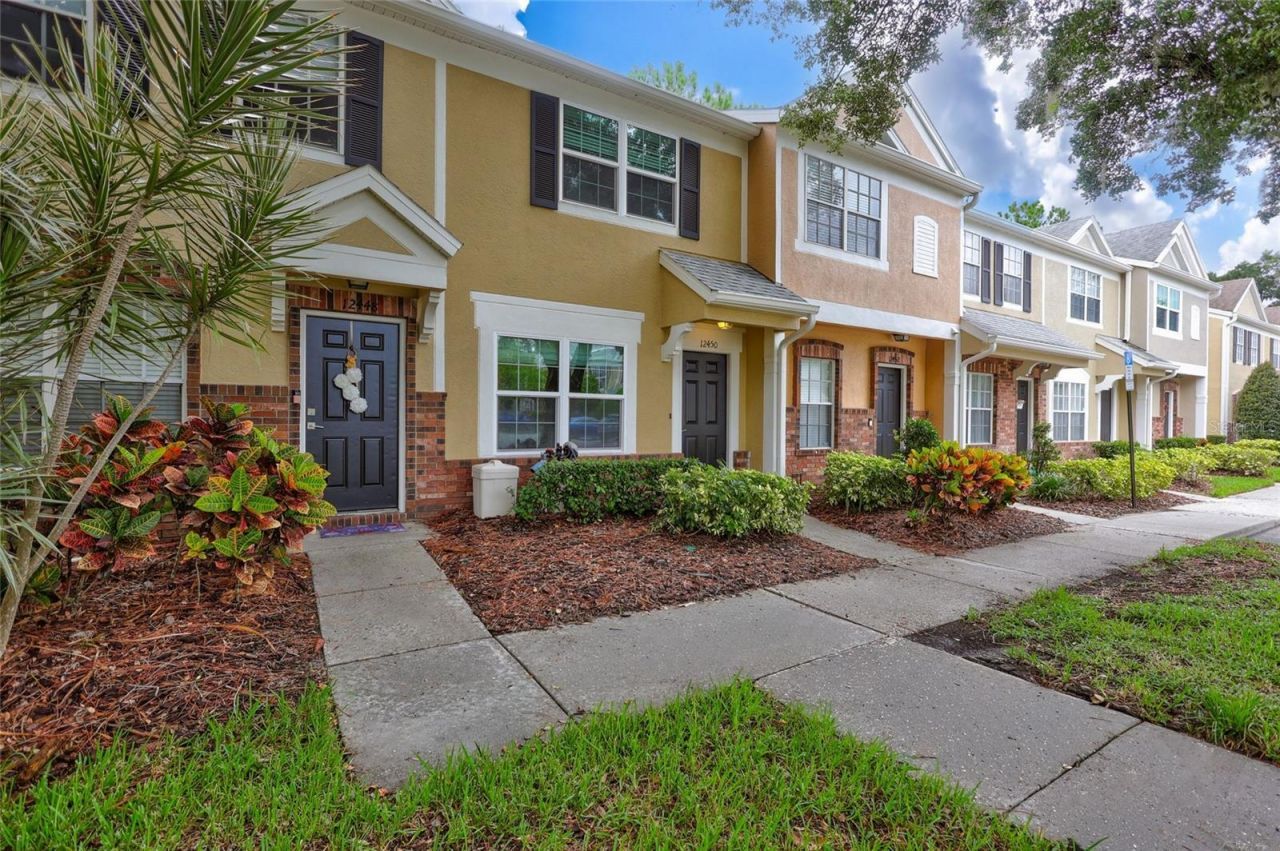 12450 BERKELEY SQUARE DRIVE  Tampa, FL 