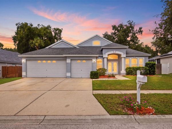 4634 RIVER OVERLOOK DRIVE , VALRICO, FL 33596