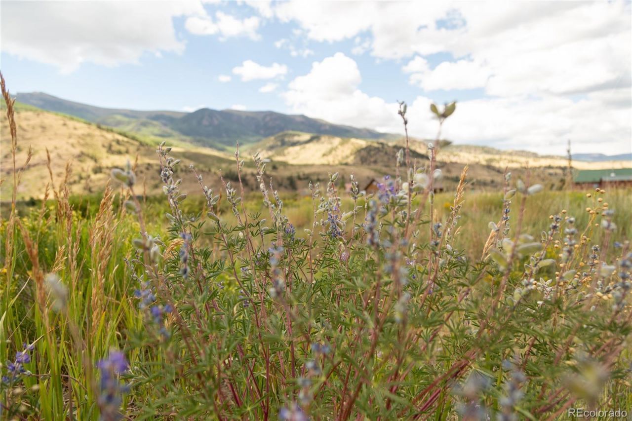 341 Spruce Drive, Creede, CO 81130 Main Photo