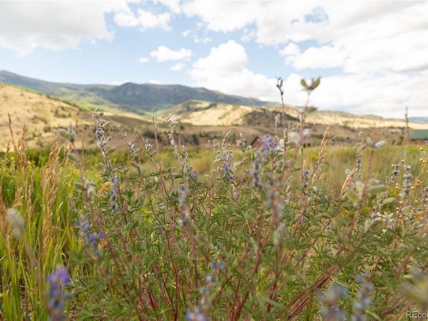341 Spruce Drive, Creede, CO 81130