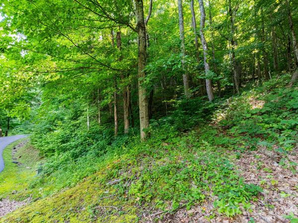 Lot 30 Finlaystone Trace, Waynesville, NC 28786