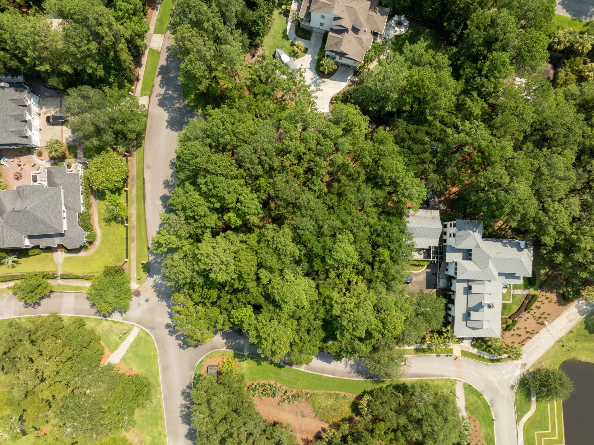 250 Grand Park Boulevard Photo 12