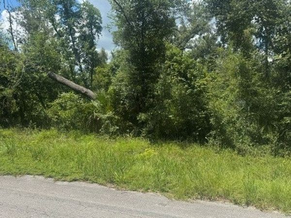 LOTS 11-12 116TH ST, Dowling Park, FL 32060