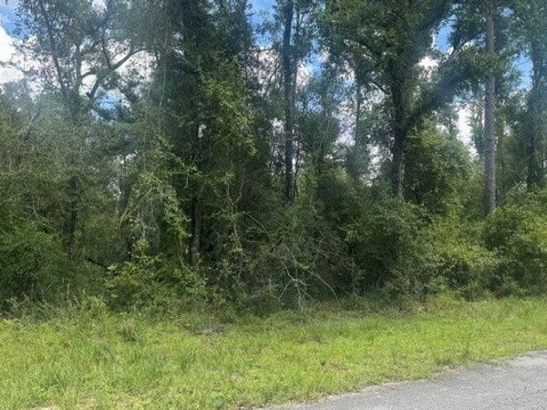 LOTS 5-6 237TH COURT, Dowling Park, FL 32060