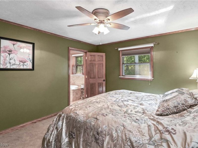 13106 N Boone Road, Columbia Station, OH 44028 Photo 25
