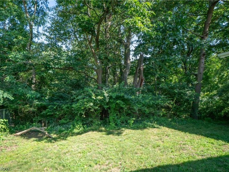 374 Woodlawn Reserve Road, Akron, OH 44305 Photo 42
