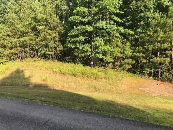 LOT 188 S STONEY POINT Rd, Double Springs, AL 35553