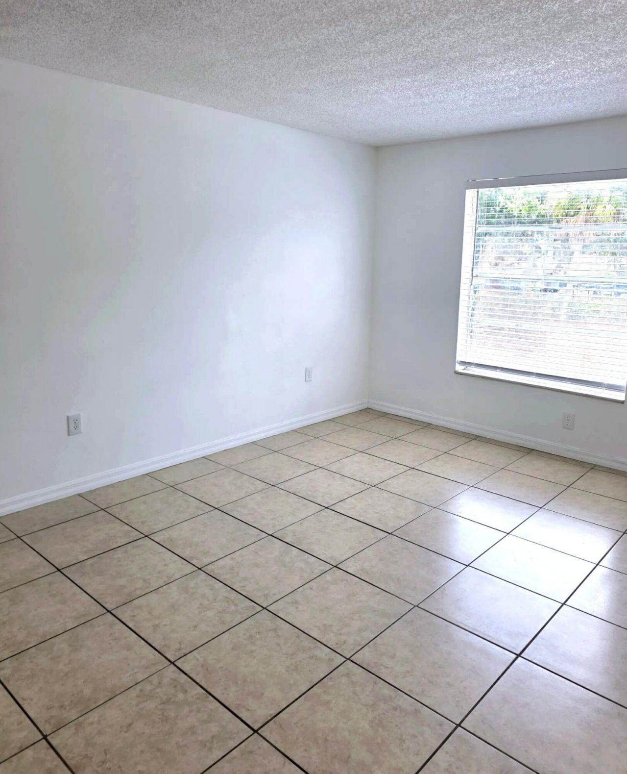 431 Executive Center Drive, Unit 204, West Palm Beach, FL 33401 Photo